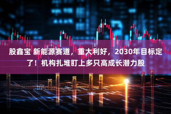 股鑫宝 新能源赛道，重大利好，2030年目标定了！机构扎堆盯上多只高成长潜力股